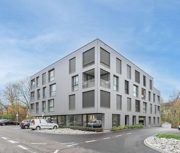 Gemütliche Wohnung in St. Gallen - Foto 1