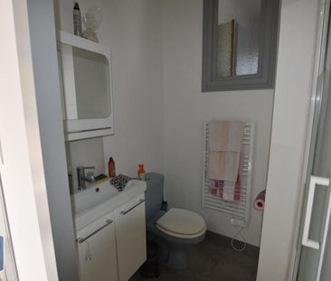 Location Appartement 3 pièces 52m² MORTAGNE SUR SEVRE 85290 - Photo 6