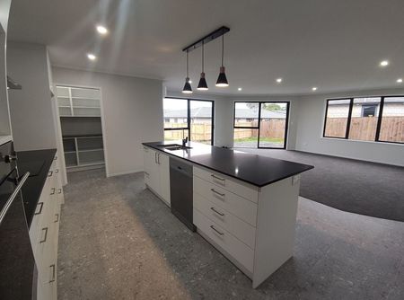 Beautiful 4 Bedroom Home in Te Kauwhata - Photo 5
