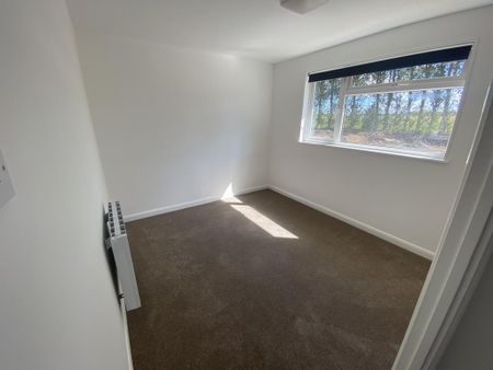 3 bedroom bungalow to rent - Photo 3