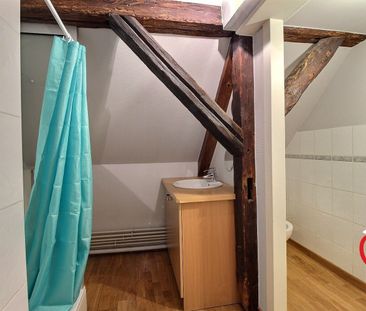 Location Appartement 1 pièce 20m² VILLE 67220 - Photo 3