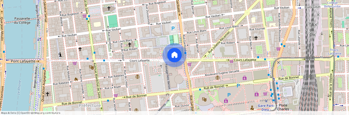 107 COURS LAFAYETTE, LYON 6EME ARRONDISSEMENT l'Europe