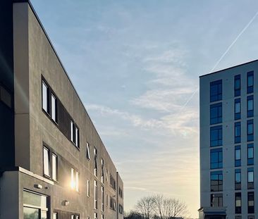 Room in a Shared Flat, Grafton Street, M13 - Photo 6