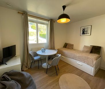 Location Appartement 1 pièce 17m² - Photo 2