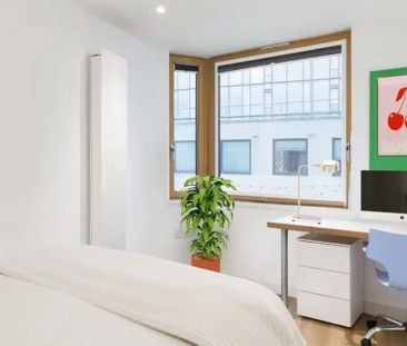 Silver Studio Courtyard View Lower Level - Photo 6