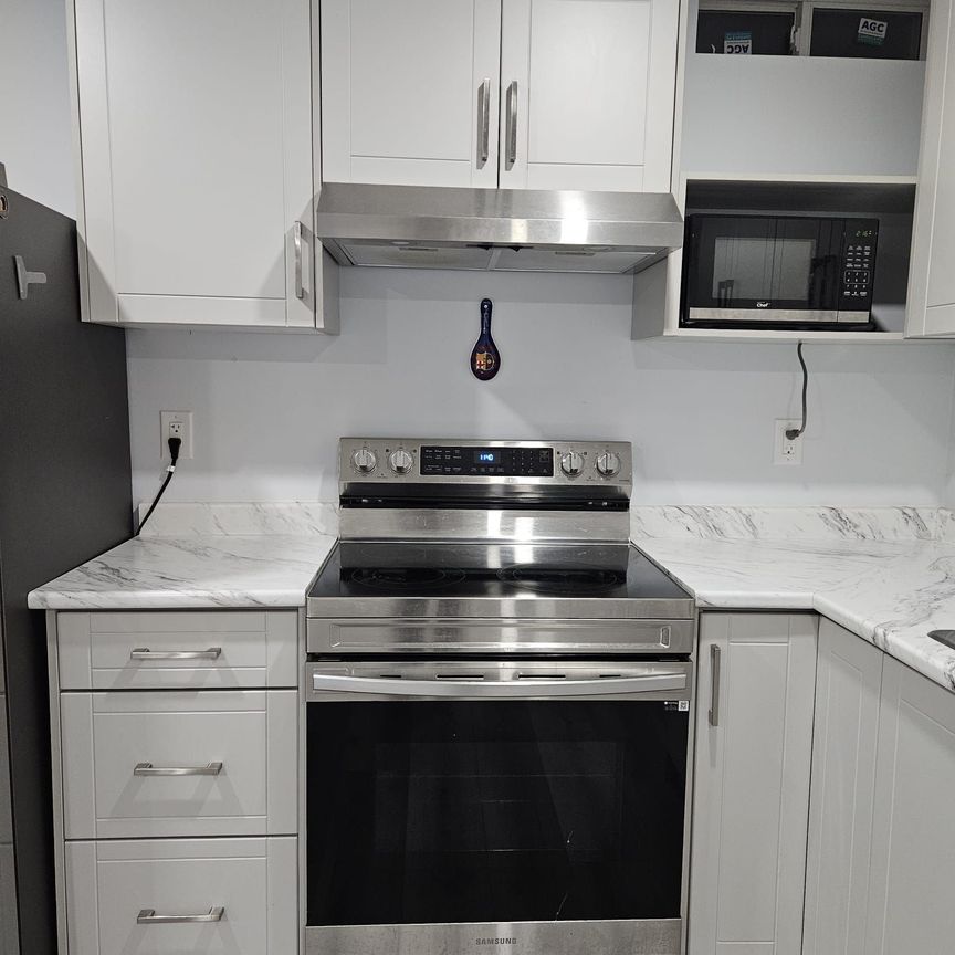 For Lease - 131 Lloyd Sanderson Drive Unit# Bsmt, Brampton, Ontario - Photo 1