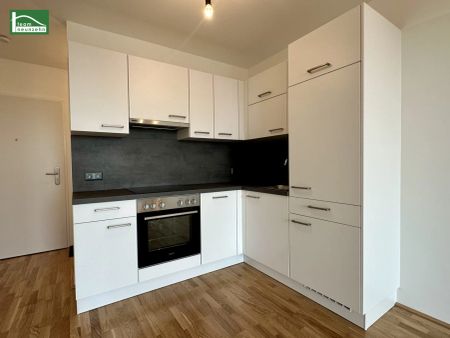 Gut geschnittene 2-Zimmer-Wohnung in unmittelbarer Nähe zur Donau - ab 01.05.2026 verfügbar! - Photo 3