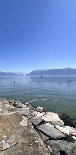 5.5 room apartment in Pully - Photo 1