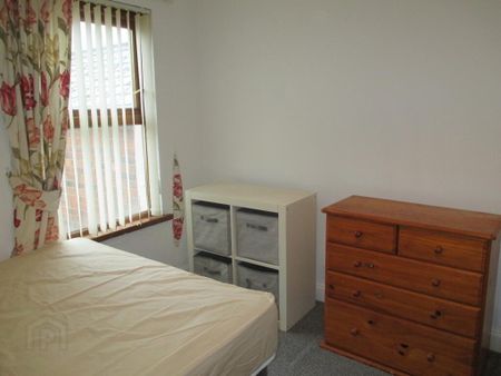 Castleton Gardens, Antrim Road, Belfast, BT15 3BY - Photo 5