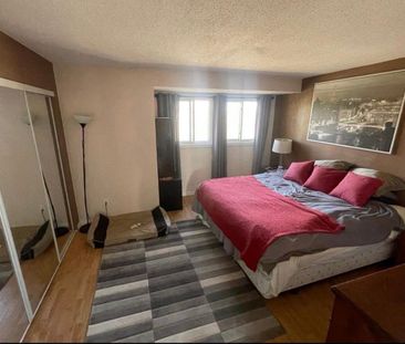 For Lease - 4338 Meadowvale Lane, Cyrville - Carson Grove - Pinevie... - Photo 4