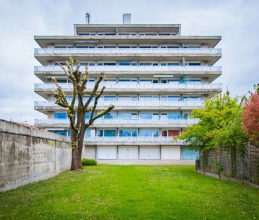 Charmant 3 pièces dans un quartier calme - Photo 2