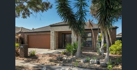 22 Bergamot Drive, Point Cook, Vic 3030 - Photo 4