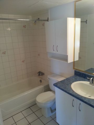 Le St-Laurent (100-110 Dollard des Ormeaux) - Photo 5