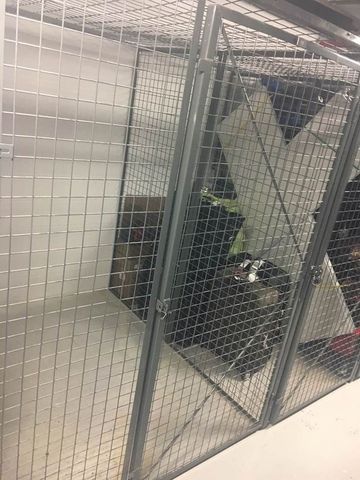 For Lease - 68 Merton Street Unit# 706, Toronto, Ontario - Photo 5