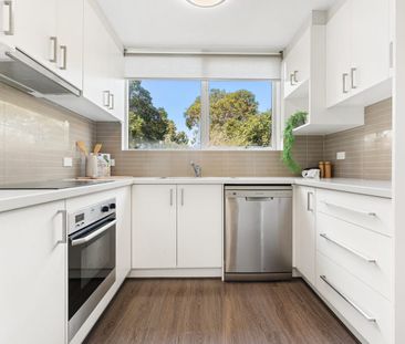 Stylish Ground Floor Living in the Heart of Balwyn - Photo 5