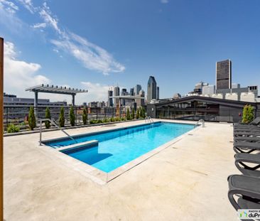 650 Wellington - DOMO -Studio, Ville-Marie (Centre-Ville et Vieux-M... - Photo 2