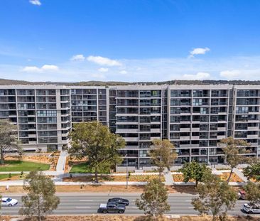 341/39 Owen Crescent, Lyneham ACT 2602 - Apartment For Rent | Domain - Photo 6