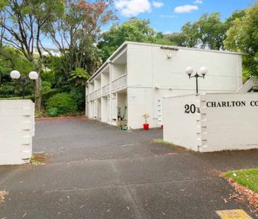 Sunny One Bedroom Studio In Mt Eden - Photo 5