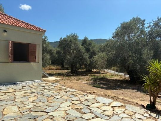Studio/Γκαρσονιέρα για ενοικίαση Άγιος Ανδρέας (Σηπιάδα) - Photo 1