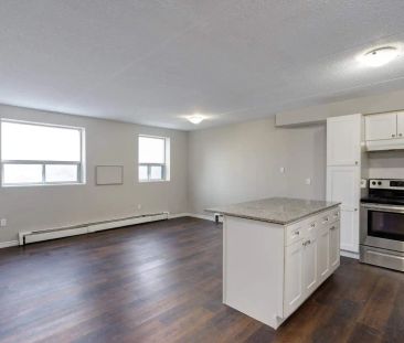 46 Gale Crescent — 1 bedroom - Photo 4