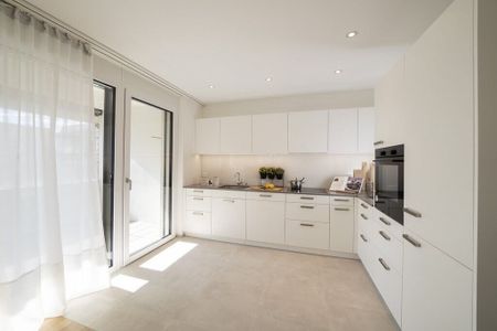 They love the luxurious - Foto 4