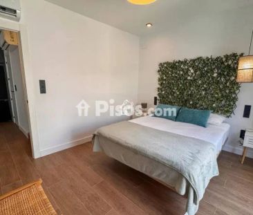 Chalet en alquiler en Torrevieja - Photo 2