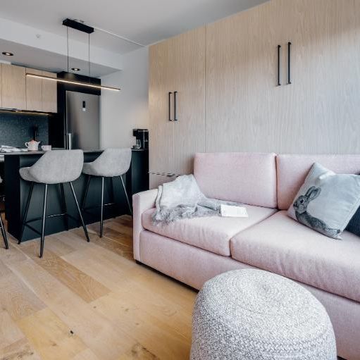 Loft entièrement meublé à louer Saint-Jean-Baptiste septembre 2026 - Photo 1