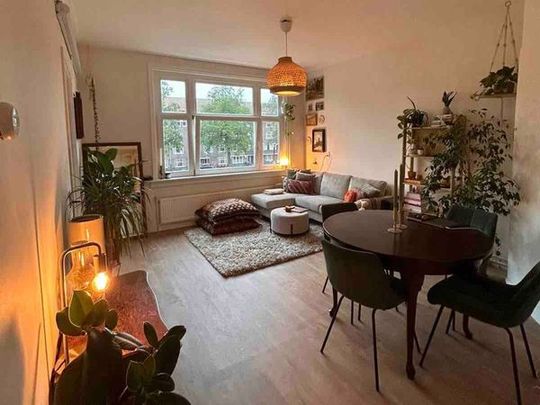 Room Amsterdam - De Baarsjes - Foto 1