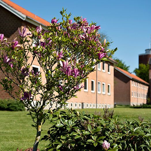 Tårnparken, Viborg - Photo 1