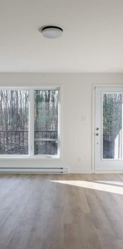 NOUVEL APPARTEMENT 4½ DISPONIBLE MAINTENANT - Photo 1