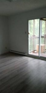 Large 3-Bedroom 1 Bath in Buckingham, Gatineau - Photo 4