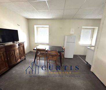 Location Appartement 2 pièces 35m² FIRMINY 42700 - Photo 1