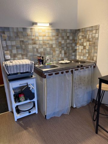 Location Appartement 1 pièce 19m² - Photo 3