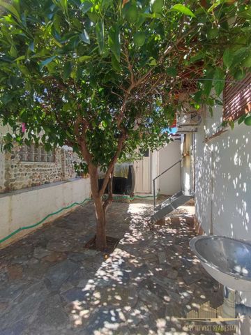 Μονοκατοικία για ενοικίαση Κυψέλη - Ποσειδωνία (Κάλαμος) - Φωτογραφία 5