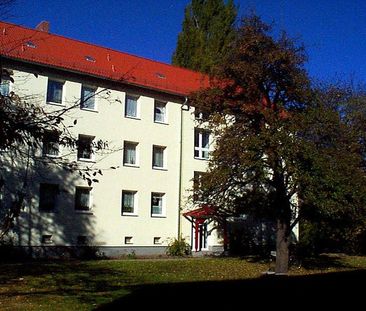Geräumige 3-Raum-Wohnung! - Foto 1