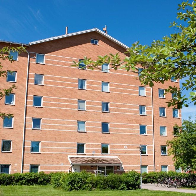 Plogvägen 103 - Photo 1