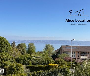 Location Appartement 4 pièces 75m² NEUVECELLE 74500 - Photo 1