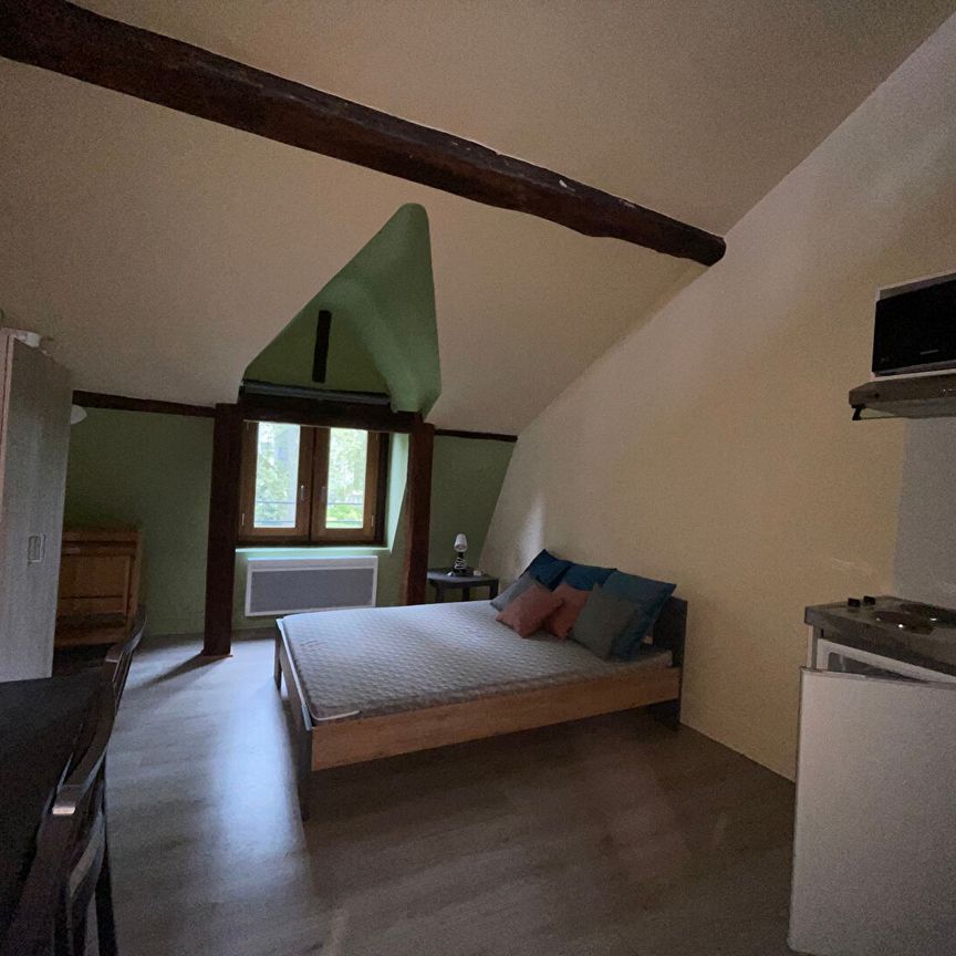 Location Appartement 1 pièce 21m² - Photo 1