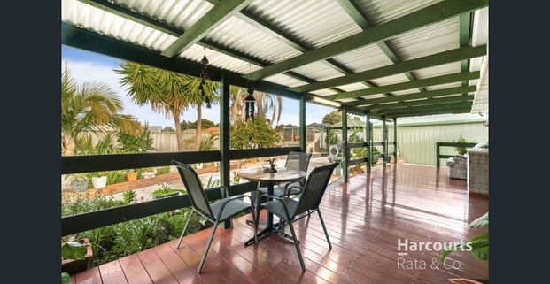 3 Bedroom Spacious Home! - Photo 1