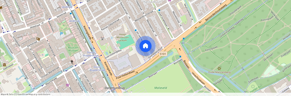 Nassaubuurt, 2596 BT, Jan van Nassaustraat, Den Haag