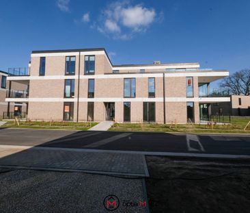 Energiezuinig nieuwbouwappartement in Zonhoven met ruim terras - Photo 6