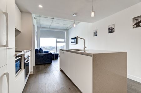 Appartement à louer - Montréal (Ville-Marie) (Centre) - Photo 5
