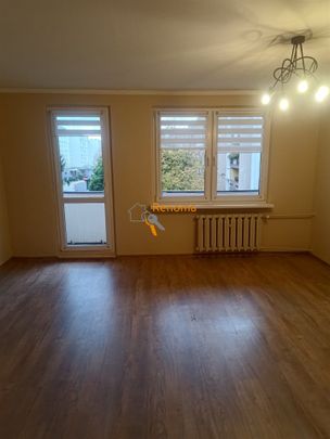 Podobne oferty - Zdjęcie 1