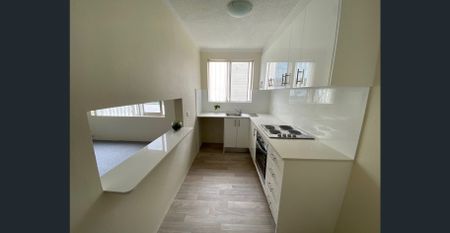 RENOVATED ONE BEDROOM UNIT - Photo 4