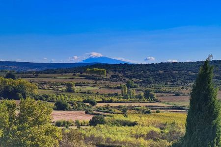 Maison de charme à Blauzac, à seulement 8 kms d'Uzès - Photo 5