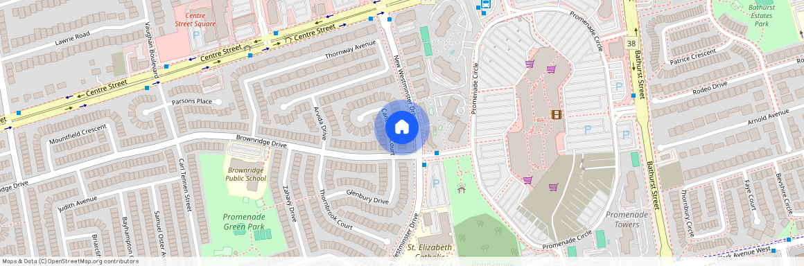 15 Cantertrot Court Unit# Masterbedroom, Vaughan