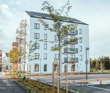 Kiselgatan 95 - Foto 4