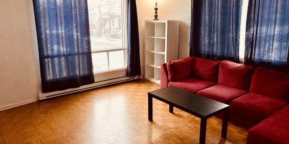 GRAND 5 1/2 LUMINEUX - Photo 3