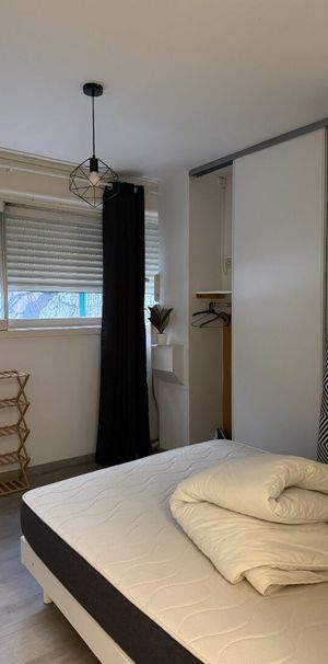 T2 meublé - rue de Bourgogne - Photo 1