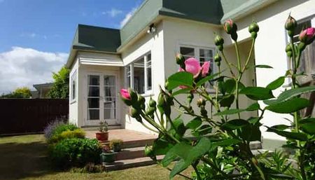 Clive Street, Akina - Photo 5